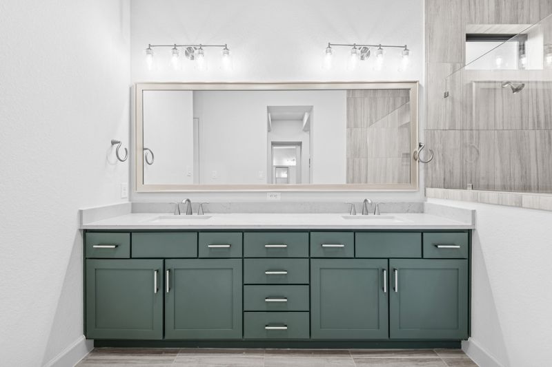 Owner's Bath