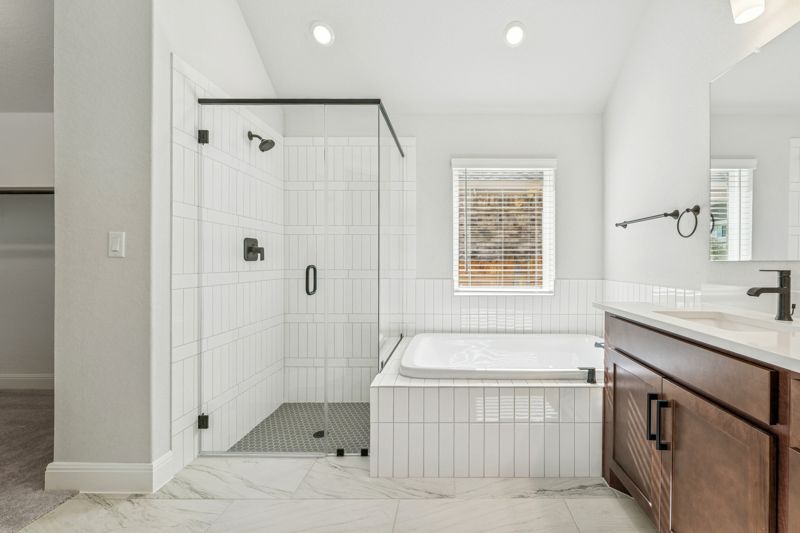 Owner's Bath