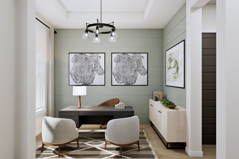 The Camellia - Study