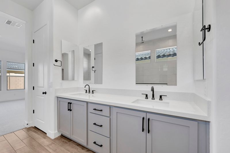 Owner's Bath