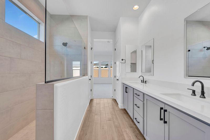 Owner's Bath