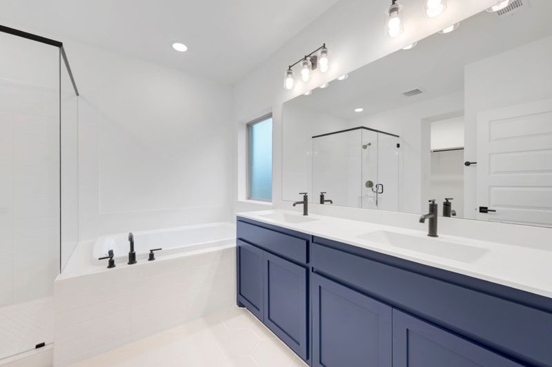Owner's Bath
