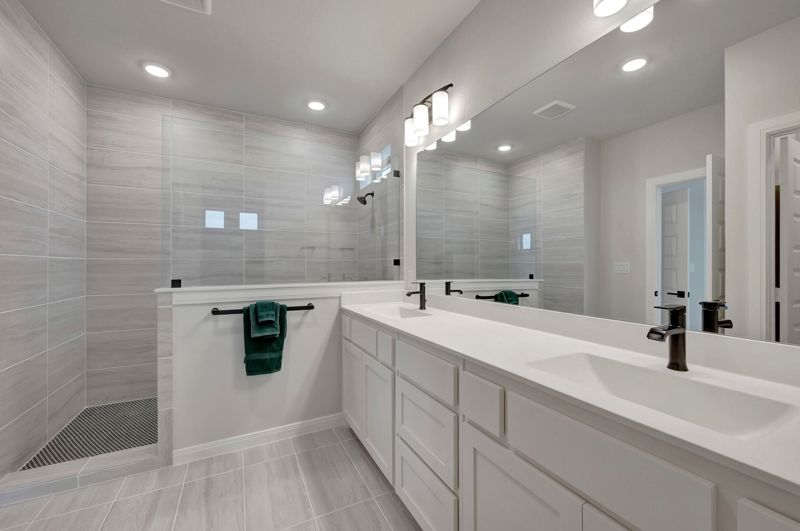 Owner's Bath