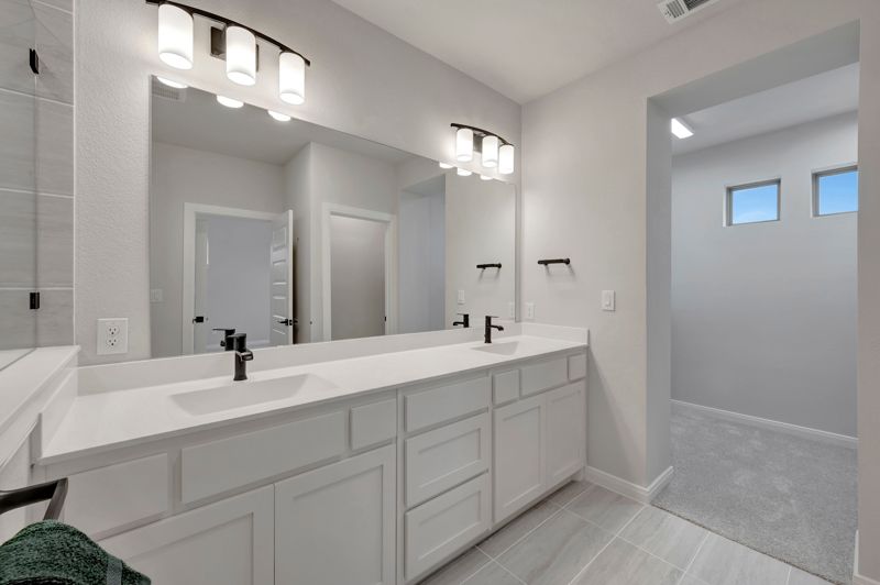 Owner's Bath