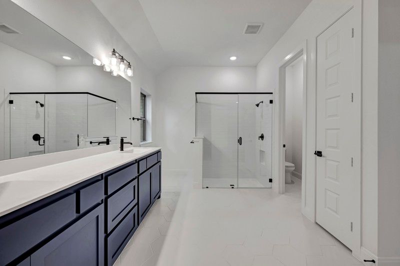 Owner's Bath