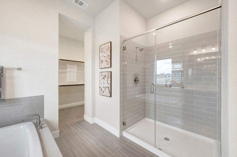 Owner's Bath