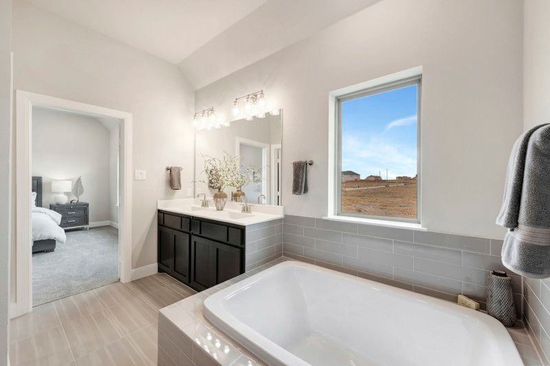 Owner's Bath