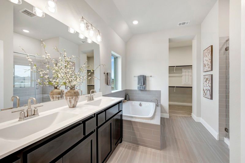 Owner's Bath