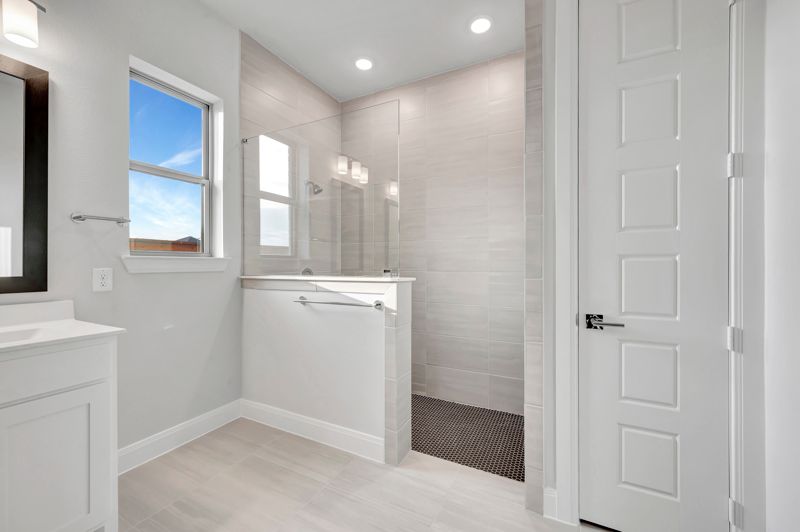 Owner's Bath