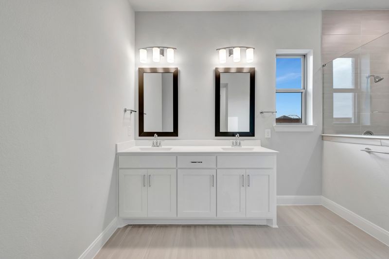 Owner's Bath