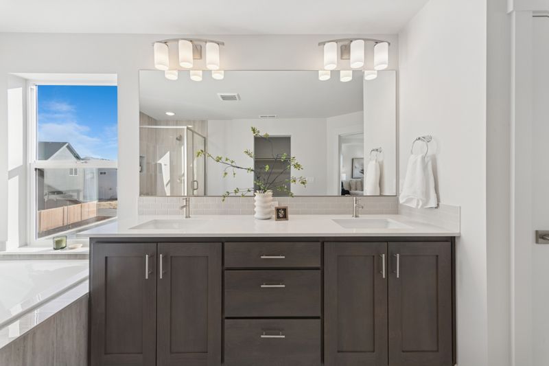 Owner's Bath