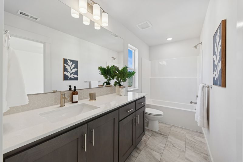 Owner's Bath