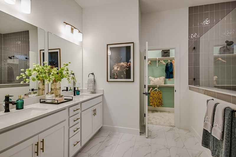 The Carnegie - Owner's Bath