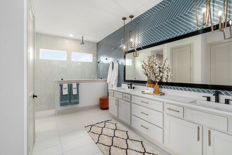 Owner's Bath