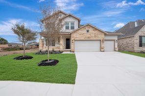 11718 Warlock (Meadow)