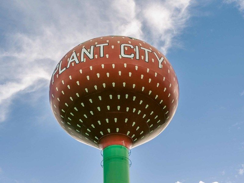 Florida Strawberry Festival