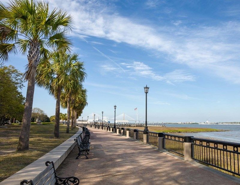 Discover Series – Signature