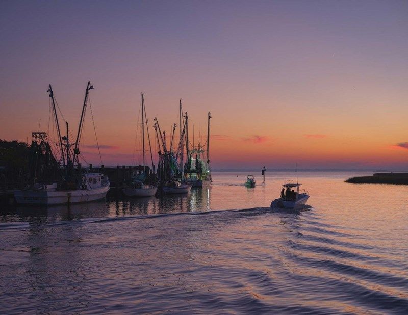 Discover Series – Signature