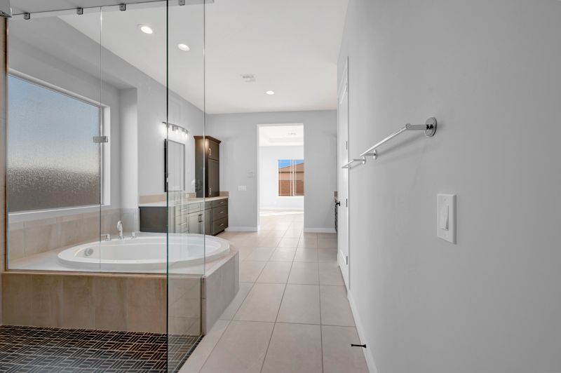 Owner's Bath