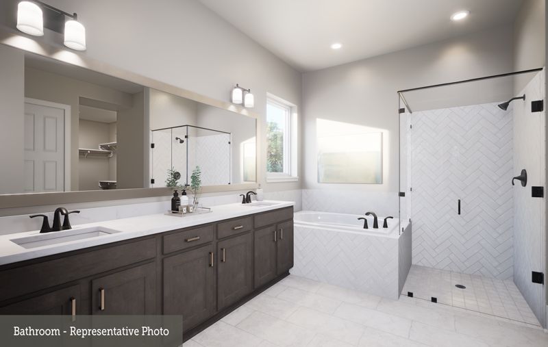 Owner's Bath