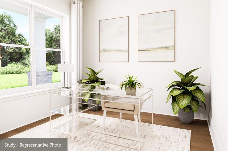 The Mansfield - Study