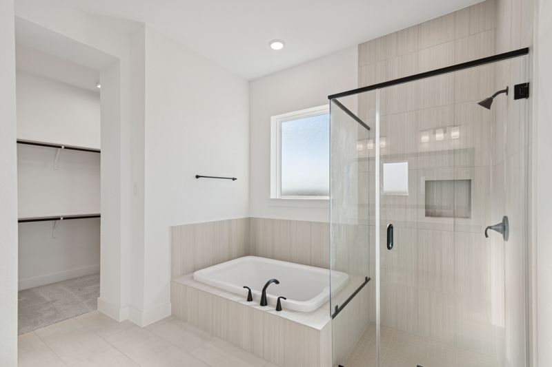 Owner's Bath