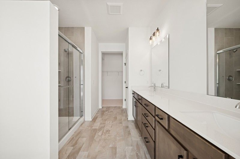 Owner's Bath