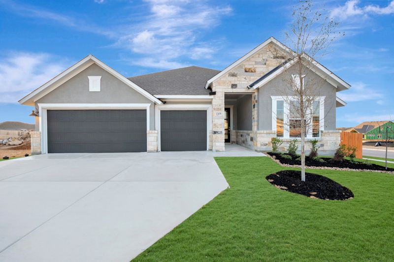 1308 Spotted Jaguar (Rymer)