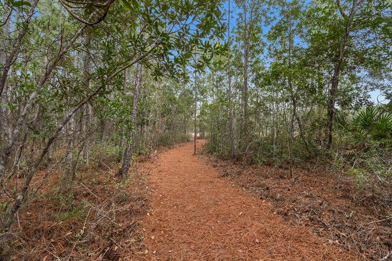 Evergreen Island at Silverleaf