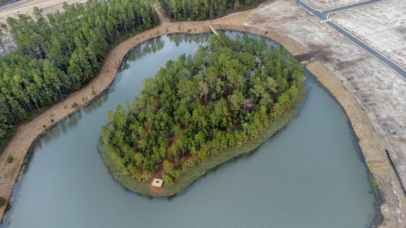 Evergreen Island at Silverleaf