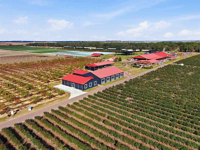 Reflections at Olympus