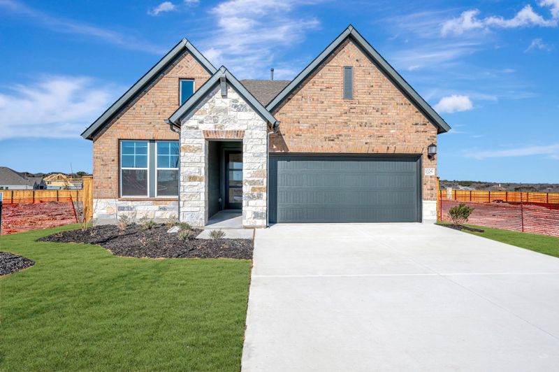 13247 Hanging Willow