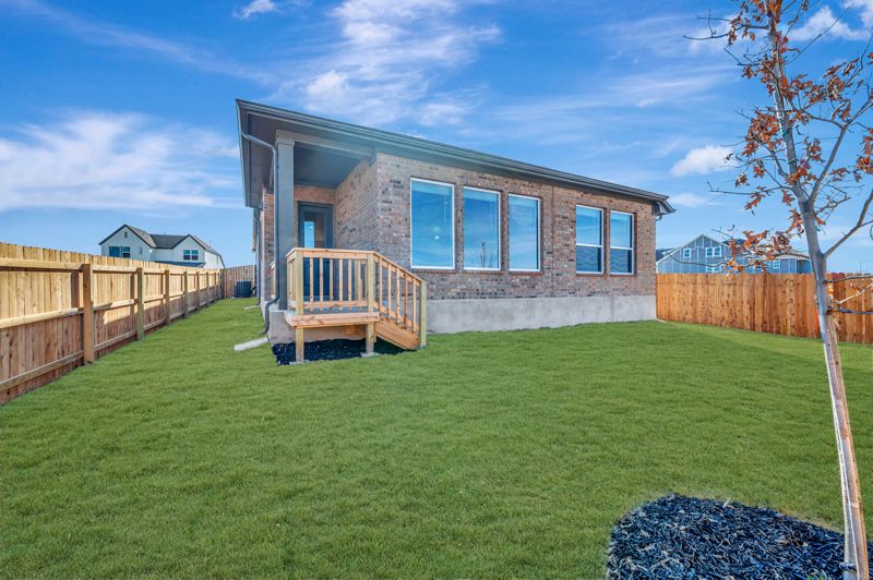 13247 Hanging Willow (Amaryllis)