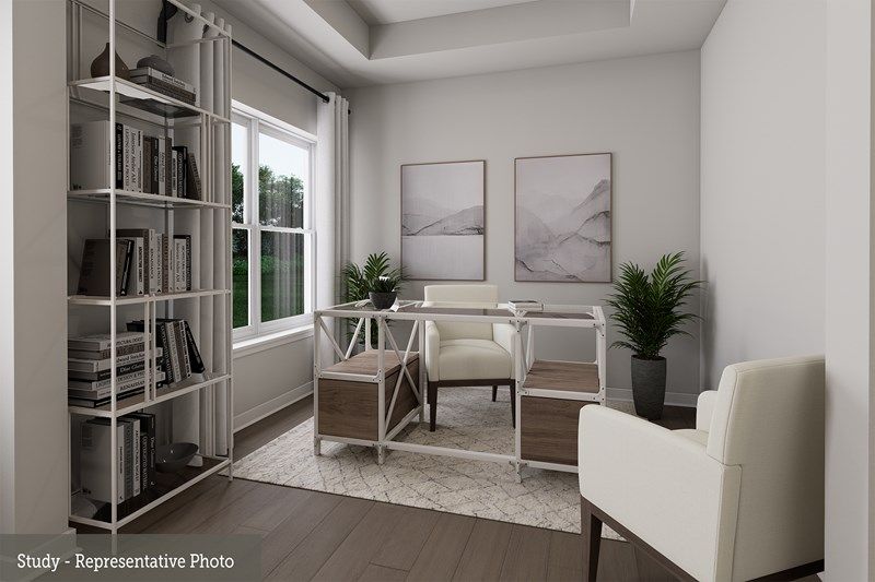 The Antoinette - Study