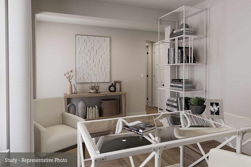 The Courtney - Study