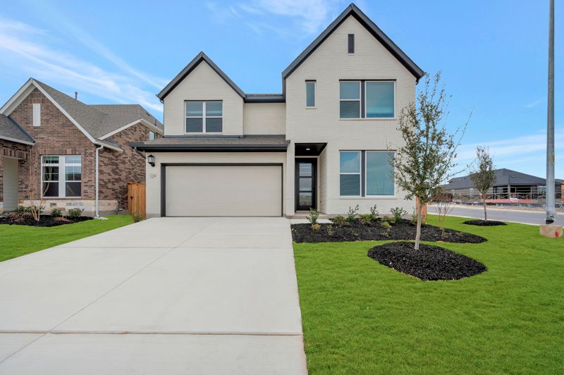 13280 Hanging Willow (Dahlia)