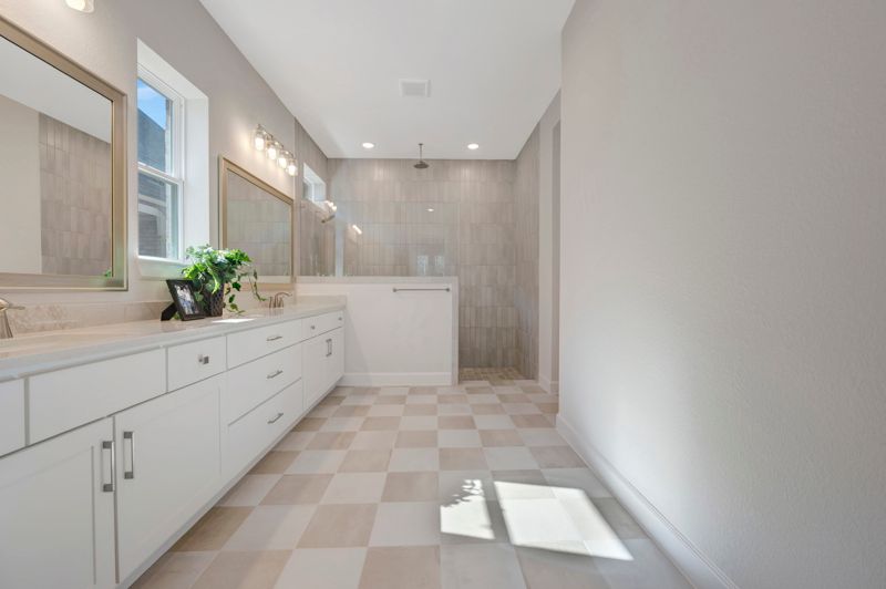 Owner's Bath