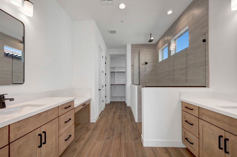Owner's Bath