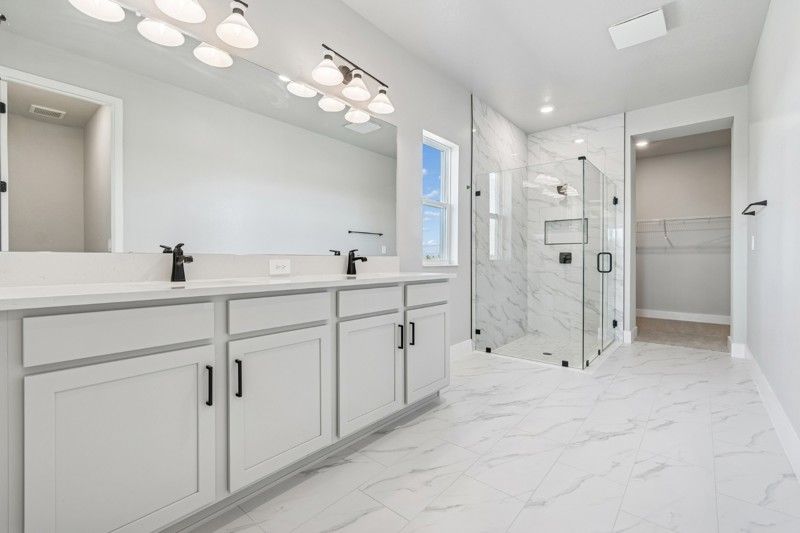 Owner's Bath