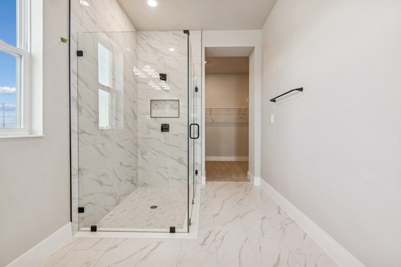 Owner's Bath