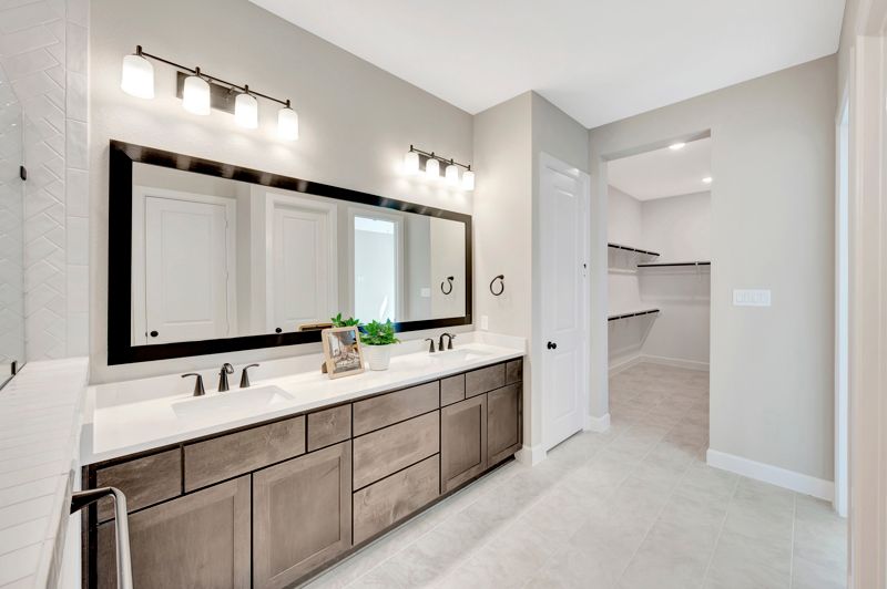 Owner's Bath