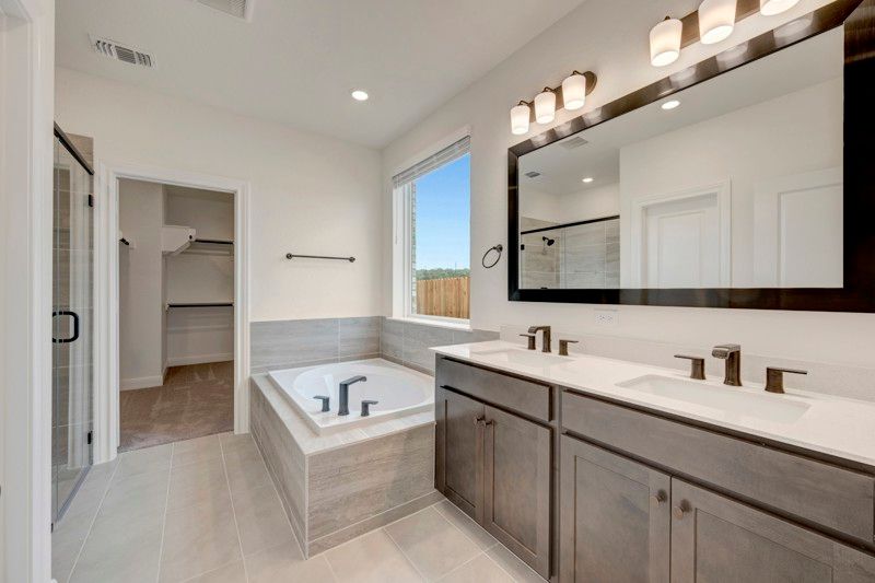 Owner's Bath