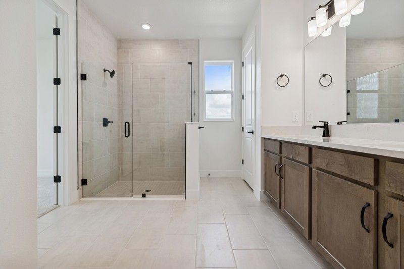 Owner's Bath