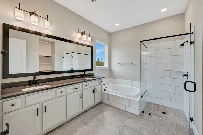 Owner's Bath