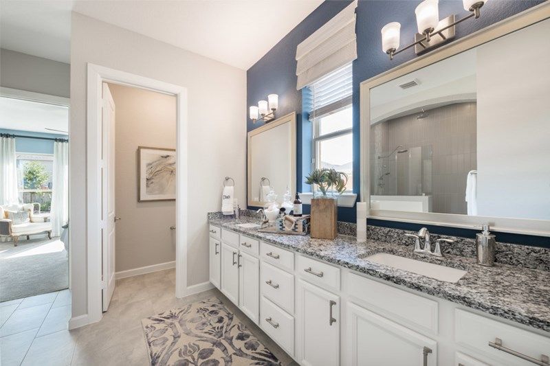 The Thomasville - Owner's Bath