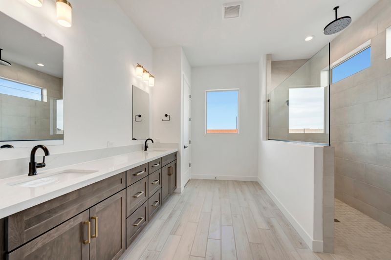 Owner's Bath