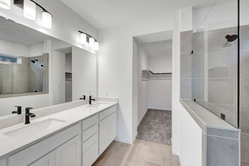 Owner's Bath