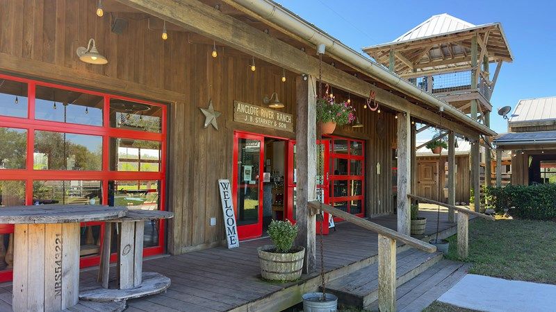 Starkey Market