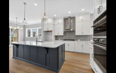 North Creek Village: Huntersville, North Carolina - David Weekley Homes