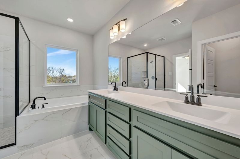 Owner's Bath